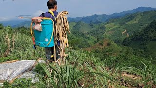 Today two boys went to school alone to spray corn weeds [upl. by Oigroeg]