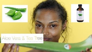 ALOE VERA amp TEA TREE SCALP TREATMENT [upl. by Ninazan]