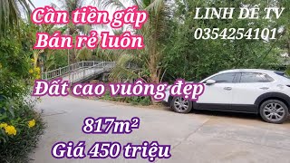 T1134💕Cần tiền bán rẻ đất vườn 817m²giá 450 triệuở xã tân hộithị xã cai lậy tiền giang [upl. by Sajet]