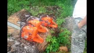 stihl ms 362 in beech wood [upl. by Belding]