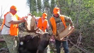 Moose Hunting in New Brunswick [upl. by Eeimaj]