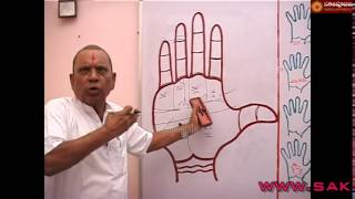 PALMISTRY PART 233 IN HINDI [upl. by Olegnaed]