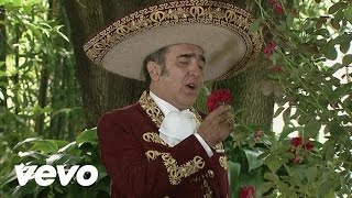 Vicente Fernández Hijo  Desde Que Tú Te Fuiste [upl. by Mollee292]