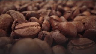 How to Decaffeinate Coffee Coffee Decaffeination Processes [upl. by Harper778]