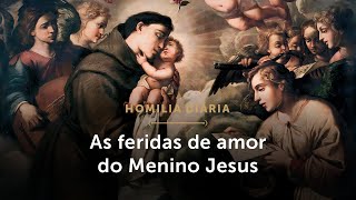 Homilia Diária  Por amor Deus se fez vulnerável Quintafeira da 3ª Semana do Advento [upl. by Eesdnyl224]