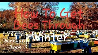 How To Get Bees Through Winter This Works [upl. by Doone]