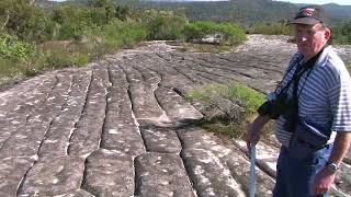 Kuringgai Chase National Park [upl. by Vories588]