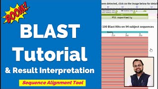 What is BLAST  Tutorial amp Interpretation [upl. by Kirre]