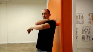 Posterior shoulder releaserotator cuff pain  Lacrosse Ball  Travis Dodds Physio [upl. by Savadove]