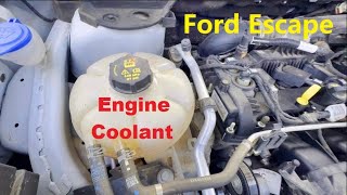 How to Check and Add Engine Coolant in Ford Escape 2020  2024 Fourth Generation [upl. by Yona]