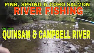 Pink Salmon Coho Salmon Spring salmon amp Chinook salmon river Fishing [upl. by Oicaro]