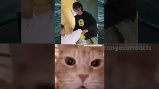 10 Seconds of laughing cat amongus memesdaily memes [upl. by Enytsuj]