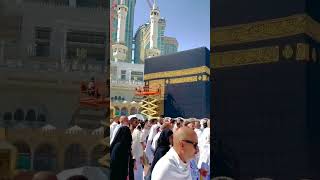 Tere karam ki kya baat maula naat naatsharif shortvideo story islam makkasharif muslim love [upl. by Ellinad]