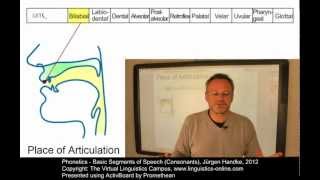 PHO106  Basic Segments of Speech Consonants [upl. by Jeniffer]