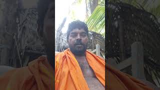 pachaikili muthucharam tamil music tamilsong vairavikinaru duet mgrlovesongs PolimerNews [upl. by Calmas742]