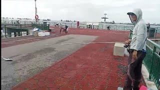 Bedok Jetty after 20 days break fish is back lucky spot [upl. by Sina156]