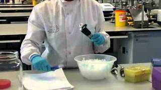 How to Perform a Polymerase Chain Reaction  William Armour amp Laura Towns [upl. by Olrak308]