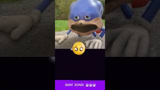 Poor Shin Sonic 😭😭😭😭😭  HorrorSkunx  Bouncing Square sonic [upl. by Cybill]