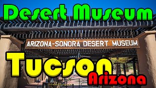 Tucson Arizona  ArizonaSonora Desert Museum  Moving To Arizona [upl. by Damarra835]