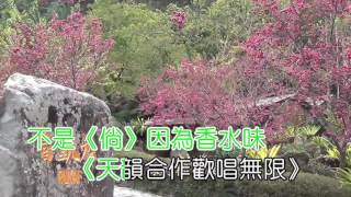 香水MIDI伴奏KTV [upl. by Yesllek]