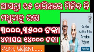 ଏହି ୧୫ ତାରିଖରେ ମିଳିବ କି ମଧୁବାବୁ ଭତ୍ତା। How to get madhubabu pensionmadhubabupension [upl. by Donelle]