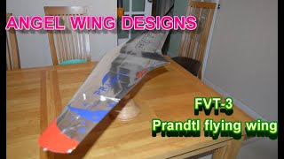 Prandtl Flying Wing FVT3 Part 7 FINISHED [upl. by Thar48]