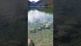 🇩🇪😍 Crystal clear Alpsee lake in Schwangau bavaria alpsmountains germany [upl. by Ellerad324]