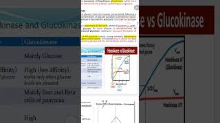 glycolysis part 3 hexokinase and glucokinase [upl. by Idnac]