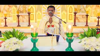 Holy Mass November 22 Wednesday 530 AM I Malayalam I Syro Malabar I Fr Bineesh Augustine [upl. by Porte912]