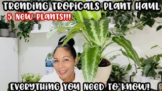 Trending Tropicals Plant Haul  5 New Plants  Featuring Schismatoglottis [upl. by Jaddan]