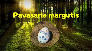 PAVASARIO MARGUTIS  VELYKŲ PASAKA 🐣🦊🌱 [upl. by Eneladgam817]