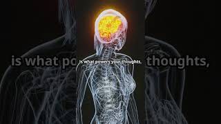 Shocking fact about your Brain facts didyouknow trivia interestingfacts brain humanbody [upl. by Matthew639]