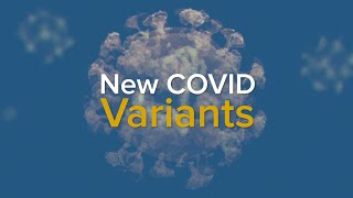 New COVID Variants and a Rise in Cases  What We Know About EG5 Eris and BA286 2023 [upl. by Aldrich]