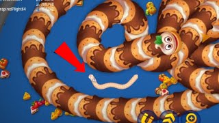 Live LETs PLAY SLITHER SNAKE BEST TROLL WormsZoneio wormszone [upl. by Bergstein]