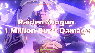 Raiden 1 Million Burst Damage [upl. by Melquist]