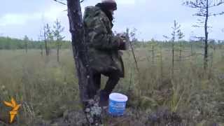 There Is No Other Way How A Siberian Village Survives On The Forest [upl. by Eesac]