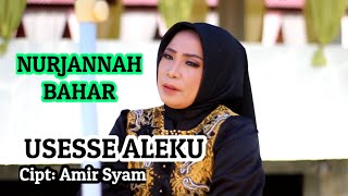 Lagu Dangdut Bugis Lawas  Nurjannah Bahar  Usesse Aleku Cipt Amir Syam  Live Nurjannah Music [upl. by Luben]