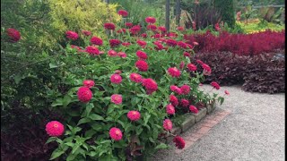 A Walk Through Beautiful Cantigny Park August 21 2017 [upl. by Leirol]