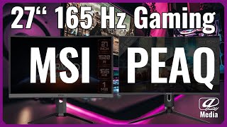 Vergleichstest 165 Hz Gaming Monitor  Marke vs NoName  MSI vs PEAQ [upl. by Erine]