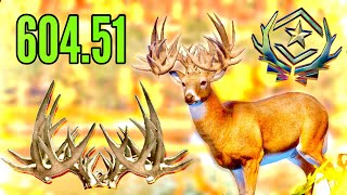 ONE OF THE SMALLEST BIG RACK GREAT ONE WHITETAIL ON RECORD INSANE AND UNIQUE BUCK [upl. by Quint]