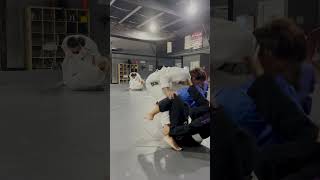 🔥 Rolling in Women’s Class  HQ from DLR  Passing Guard jiujitsulifestyle jiujitsuwomen [upl. by Pevzner]