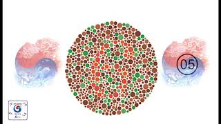 Colour Blindness Test for Skill Test In Korea 2020 2021 [upl. by Mikal958]