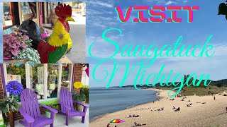 Visit Saugatuck Michigan  Oval Beach  Mount Baldhead  Downtown Saugatuck [upl. by Isawk]