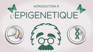 Introduction à lépigénétique  with ENGLISH subtitles [upl. by Jovitta]