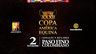 XXXII COPA AMERICA EQUINA 2024  DIA 3 PASO FINO COLOMBIANO [upl. by Oletta234]