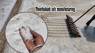 thoothukudi salt production  thoothukudi salt making  thoothukudi salt manufacturers [upl. by Chara944]