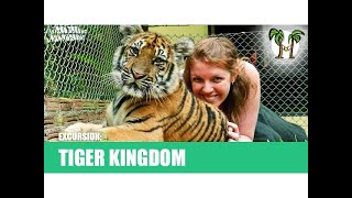 Tiger Kingdom [upl. by Chemar463]