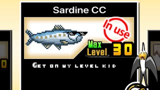 MOLA MOLA SARDINE META [upl. by Janeen]