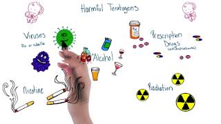 Harmful teratogens  Intro to Psychology [upl. by Noiramed]