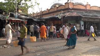 Kalighat temple Kolkata [upl. by Kathy]